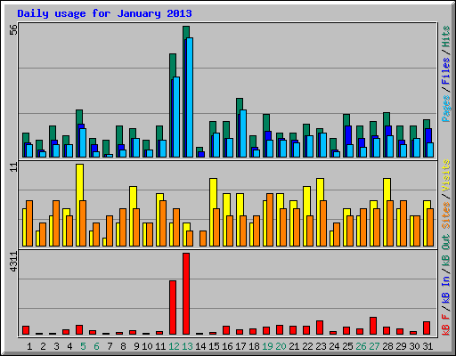 Daily usage for January 2013