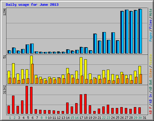 Daily usage for June 2013