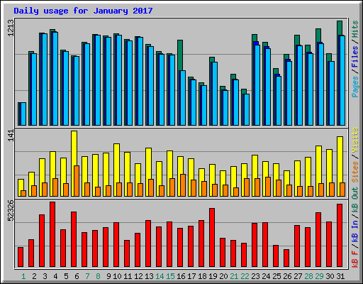 Daily usage for January 2017