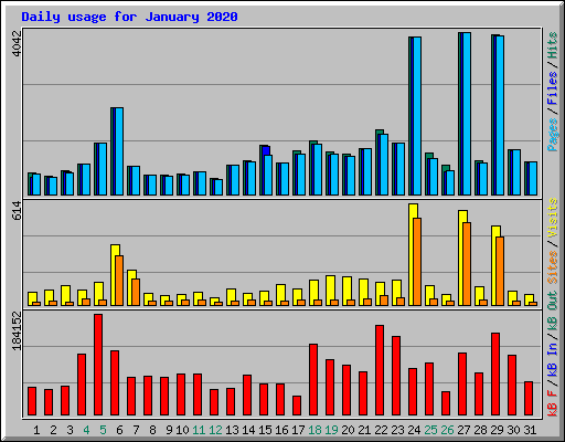 Daily usage for January 2020