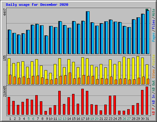 Daily usage for December 2020