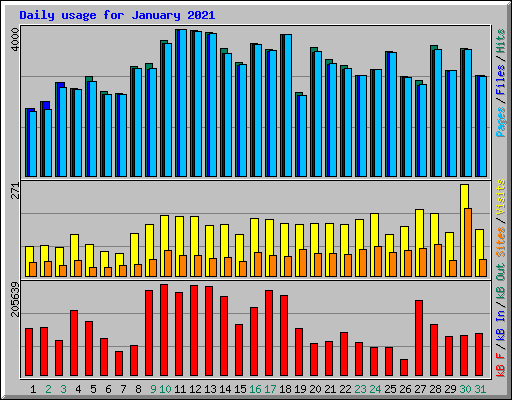 Daily usage for January 2021