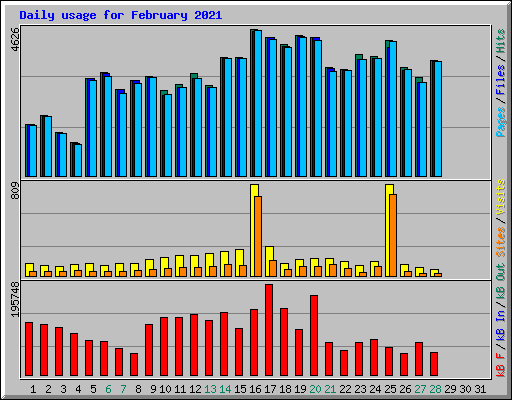 Daily usage for February 2021