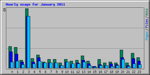 Hourly usage for January 2011