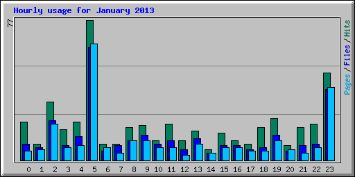 Hourly usage for January 2013