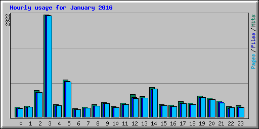 Hourly usage for January 2016