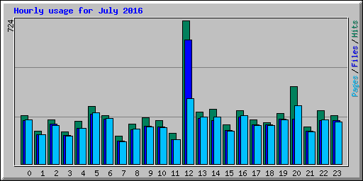 Hourly usage for July 2016