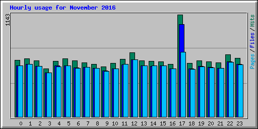 Hourly usage for November 2016