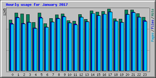 Hourly usage for January 2017