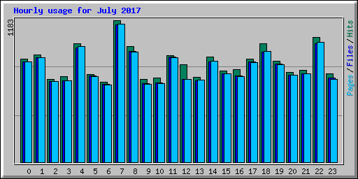 Hourly usage for July 2017