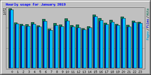 Hourly usage for January 2019