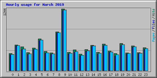 Hourly usage for March 2019