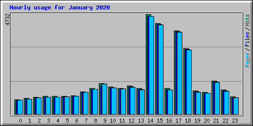 Hourly usage for January 2020