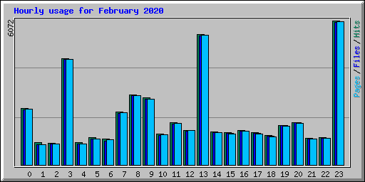 Hourly usage for February 2020