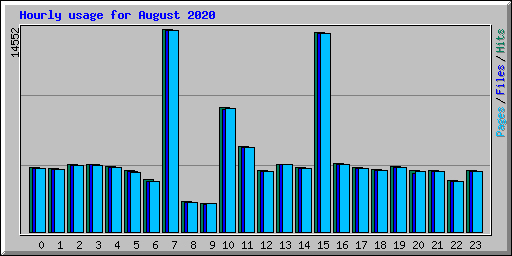 Hourly usage for August 2020