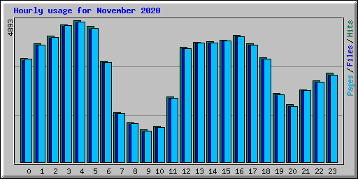 Hourly usage for November 2020