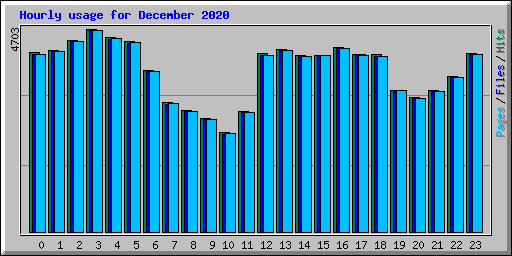 Hourly usage for December 2020