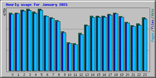 Hourly usage for January 2021