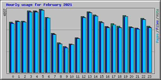 Hourly usage for February 2021