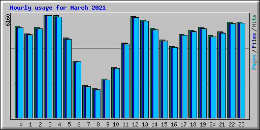 Hourly usage for March 2021