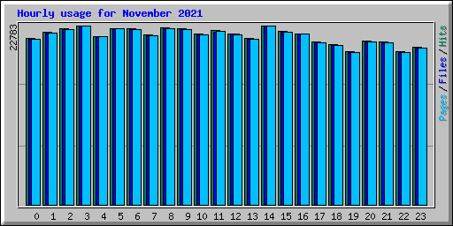 Hourly usage for November 2021