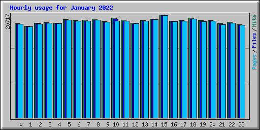 Hourly usage for January 2022