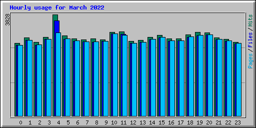 Hourly usage for March 2022