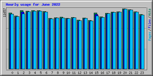 Hourly usage for June 2022