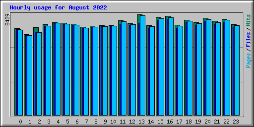 Hourly usage for August 2022